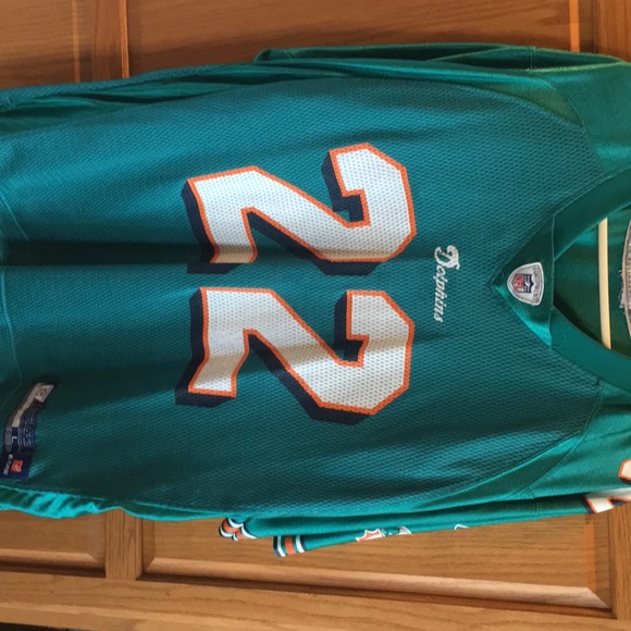 Reebok Other - Dolphin Jersey